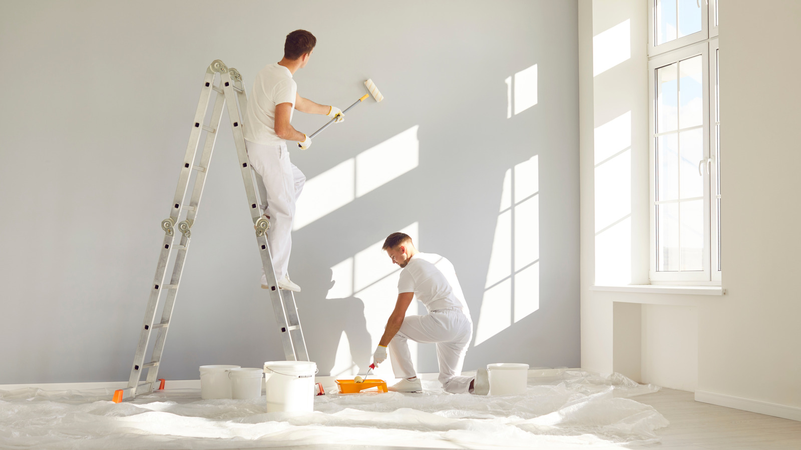 Painting & Renovation